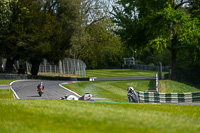 Lower Group Black Bikes
